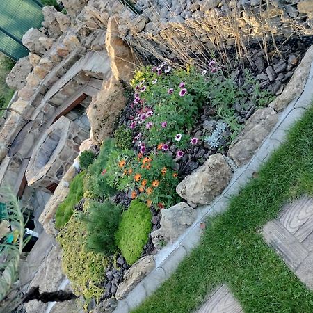 Villa Garden Bešeňová Zewnętrze zdjęcie