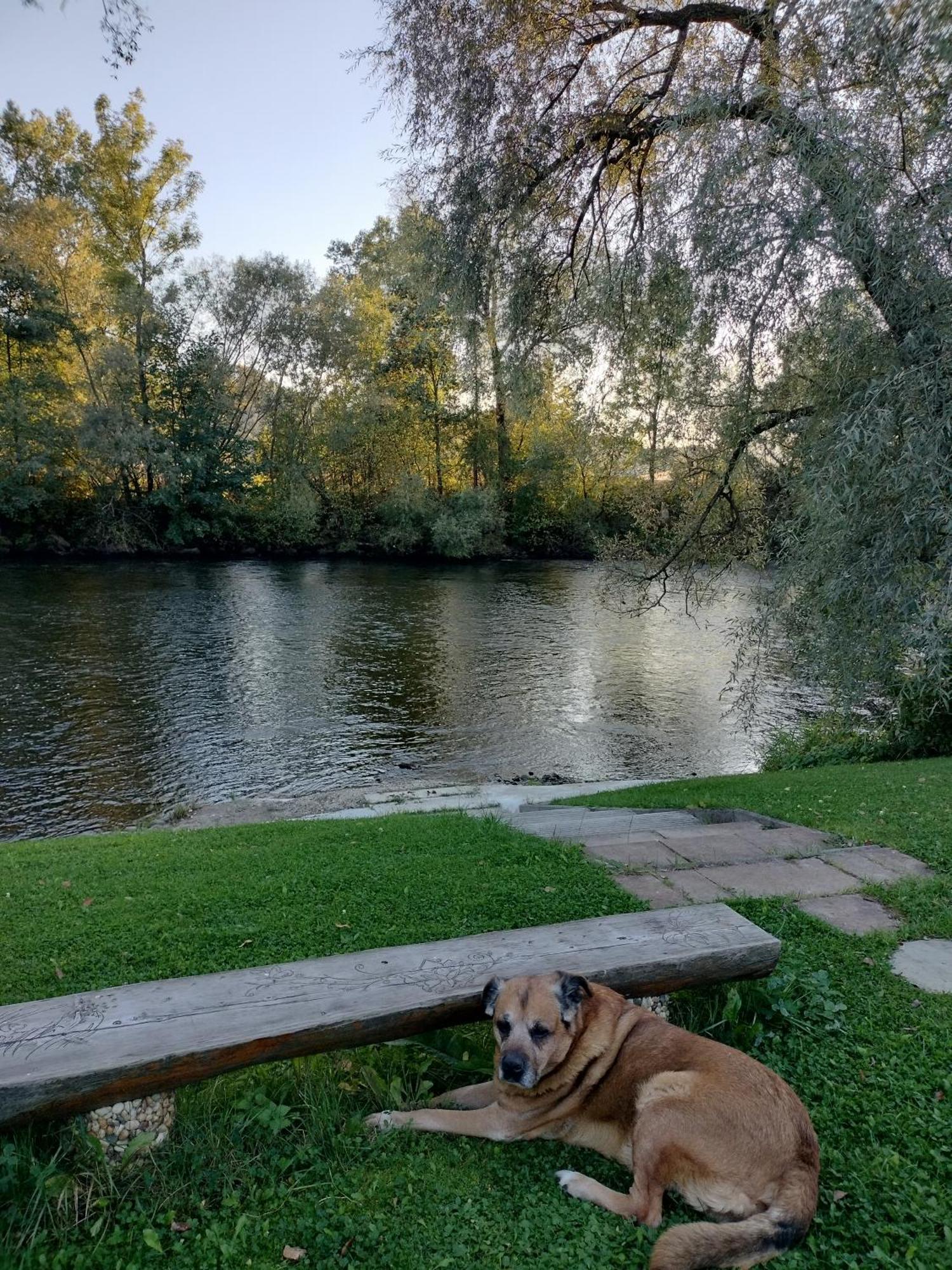 Villa Garden Bešeňová Zewnętrze zdjęcie